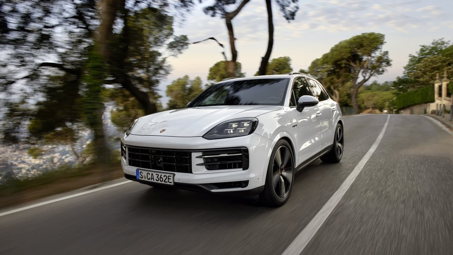 Porsche Cayenne S E-Hybrid blanc sur une route bordée de pins, dans la lumière de fin de journée
